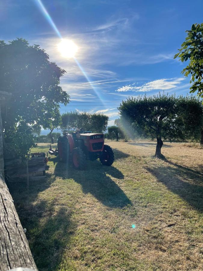 Lodge - Le Clos Devancon Gréoux-les-Bains Exteriér fotografie